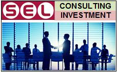 SEL CONSULTIG